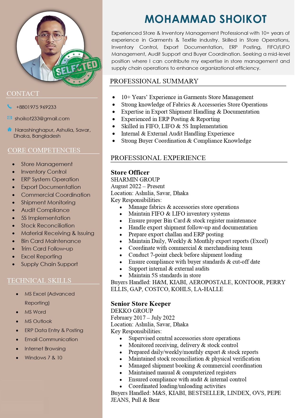 Standard Professional CV