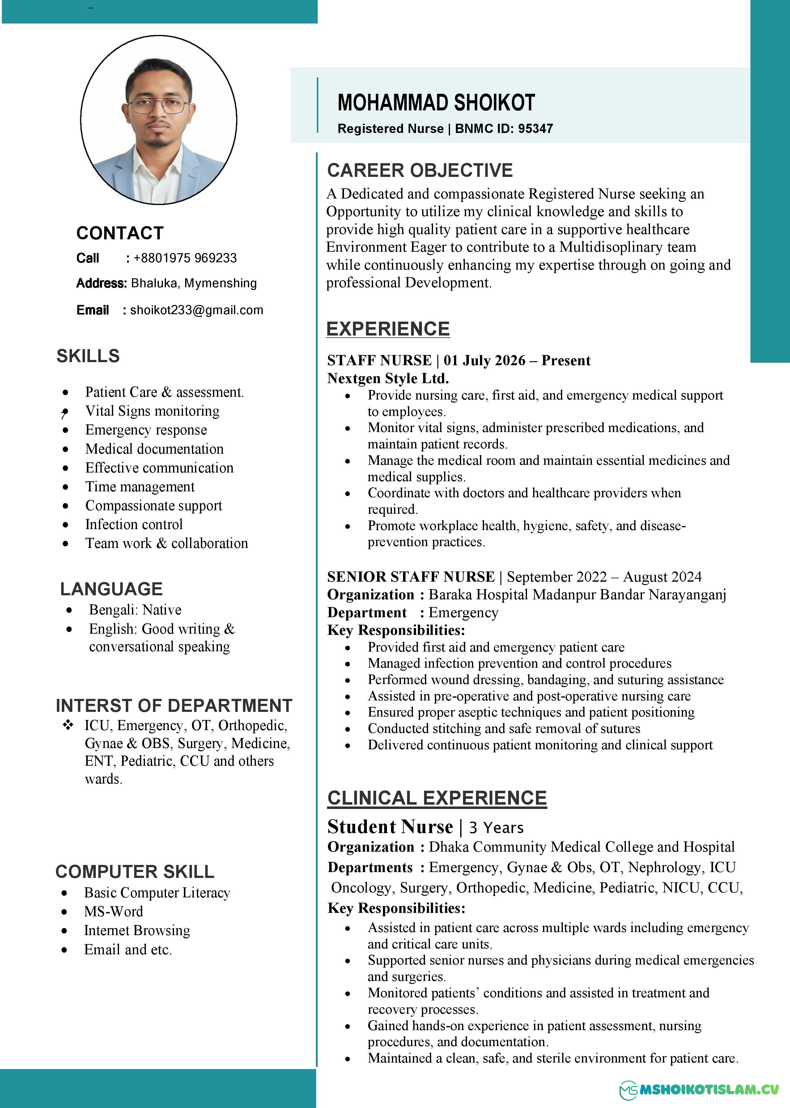 Professional Nurse Resume Template